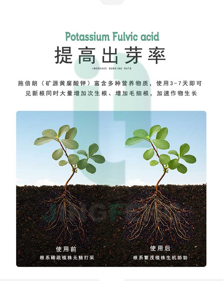 礦源黃腐酸鉀和生化黃腐酸鉀的優(yōu)劣勢(shì)